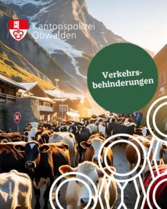 MEHR LESEN